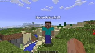 Works in multiplayer