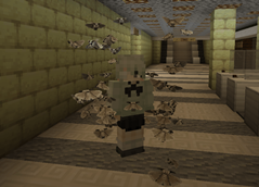 the swarm shield.png