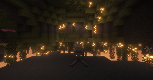 Skeleton in Cave