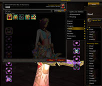 Transmog Outfit Frame
