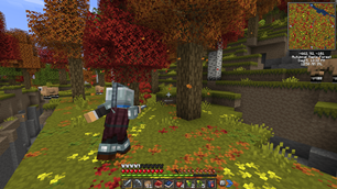 Gameplay