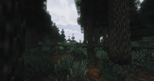 2026-02-21_05.15.51.png