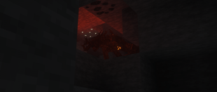 Its looking for me..