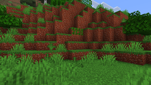 Jungle soil