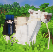Screenshot 2026-02-21 165021.png