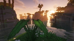 Scenery