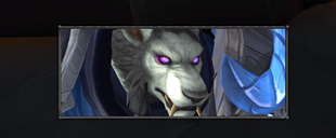 portrait2.png