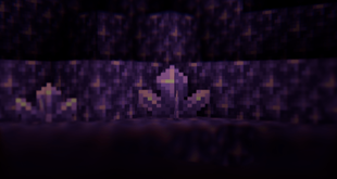 DCLITE