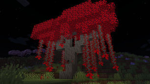 Ancient Tree