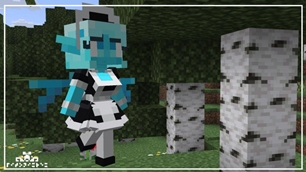 ss1