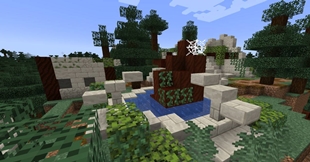 Village