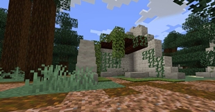 Village