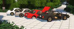 customize
