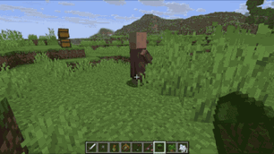 adoners-tweaks_1.1.0_capture-capsule.gif