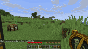 adoners-tweaks_1.1.0_purifying-amulet-purify.gif