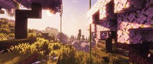 Gorgeous Biome