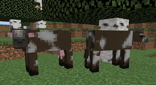 cowexample1.png
