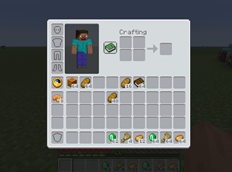 Survival Inventory