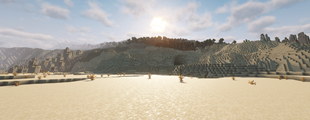 Beautiful view