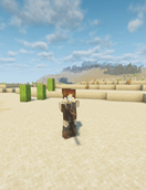 Scoped Musket