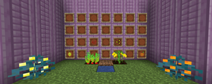 Fully grown crops