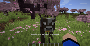 Wandering mode