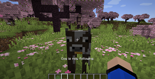 Following mode