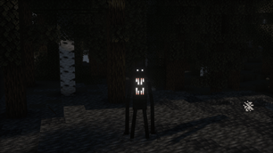 2026-02-24_18.11.05 (1).png