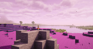 2026-02-25_13.56.35-min.png