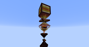Picture 7: What is this??