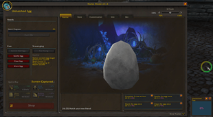Egg-stage.png