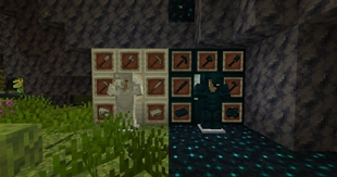 showcase.jpg