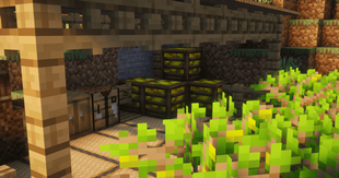 Bountiful Farming