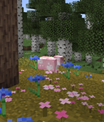Screenshot 2025-05-19 143704.png