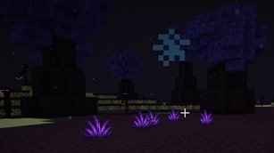 Screenshot 2025-05-28 234346.png