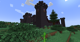 Medieval Strife Structure - Cosmic Crones