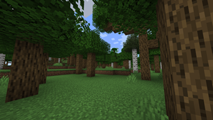 Forest Example 1