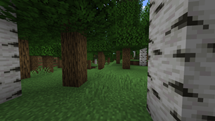 Forest Example 2