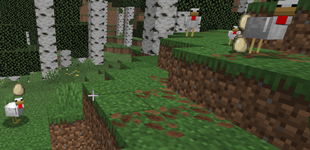 The flock of death