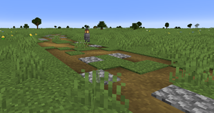 Dirt path