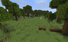 Forest Clearings