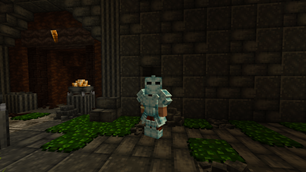 Custom Armor