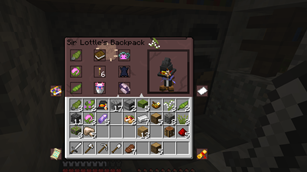Sir Lottle's Backpack