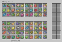 Berry Pouch.png