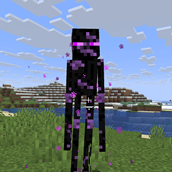 Screenshot_20260227_121007.png