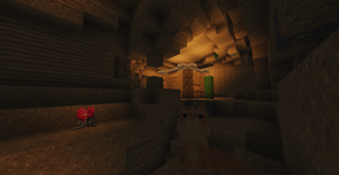 Desert Caves by Yung's, Maverick pet and Hearth Crystal