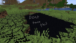 dont touch it