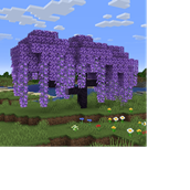 Wisteria Tree