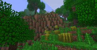 Hillside