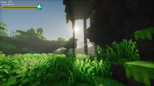 Jungle biome angle 2